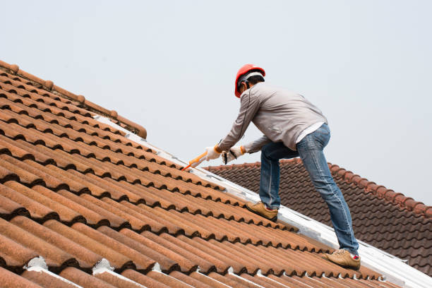 Fast & Reliable Emergency Roof Repairs in Trinity, FL