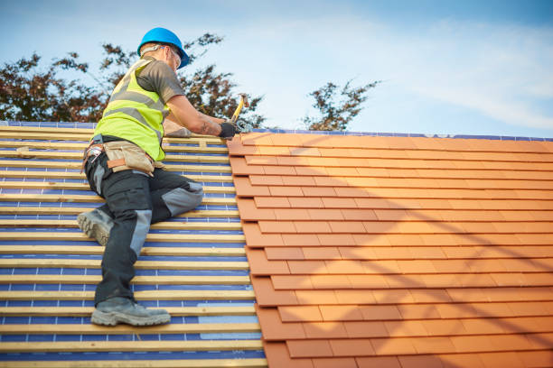 Best Cold Roofs  in Trinity, FL
