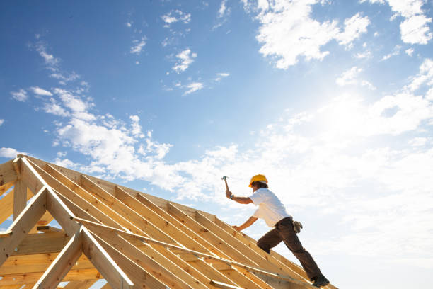 Best Storm Damage Roof Repair  in Trinity, FL